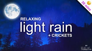 RAIN and CRICKETS | 30 min Sleep Sound – Ambience, Soundscape Meditation ASMR Nap | Dim Screen