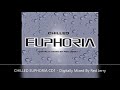 CHILLED EUPHORIA CD1   Digitally Mixed By Red Jerry