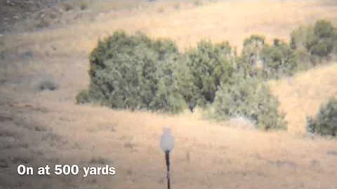 Weatherby 300 Mag. 1000 yards
