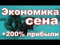 Гешефт по русски/Пробуем заработать на заработанном в деревне