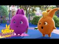 SUNNY BUNNIES - Learning to Skip | Season 4 | Cartoons for Children