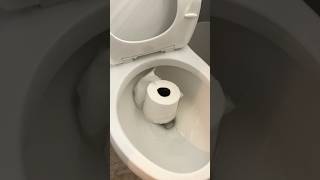 My #Mistake of the Day (Upsetting)🫠 #humor #parody #dujour #oftheday #diyfail #fails #spoof #toilet