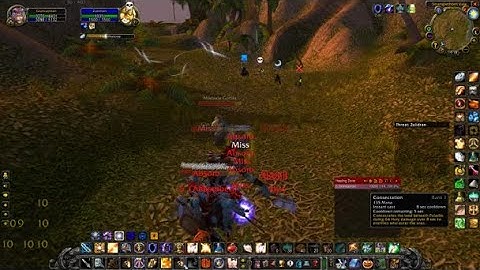 WoW classic HC quick double bot kill