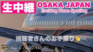 🔴 LIVE OSAKA ITAMI Airport 2025/7/5 大阪伊丹空港   ライブカメラ