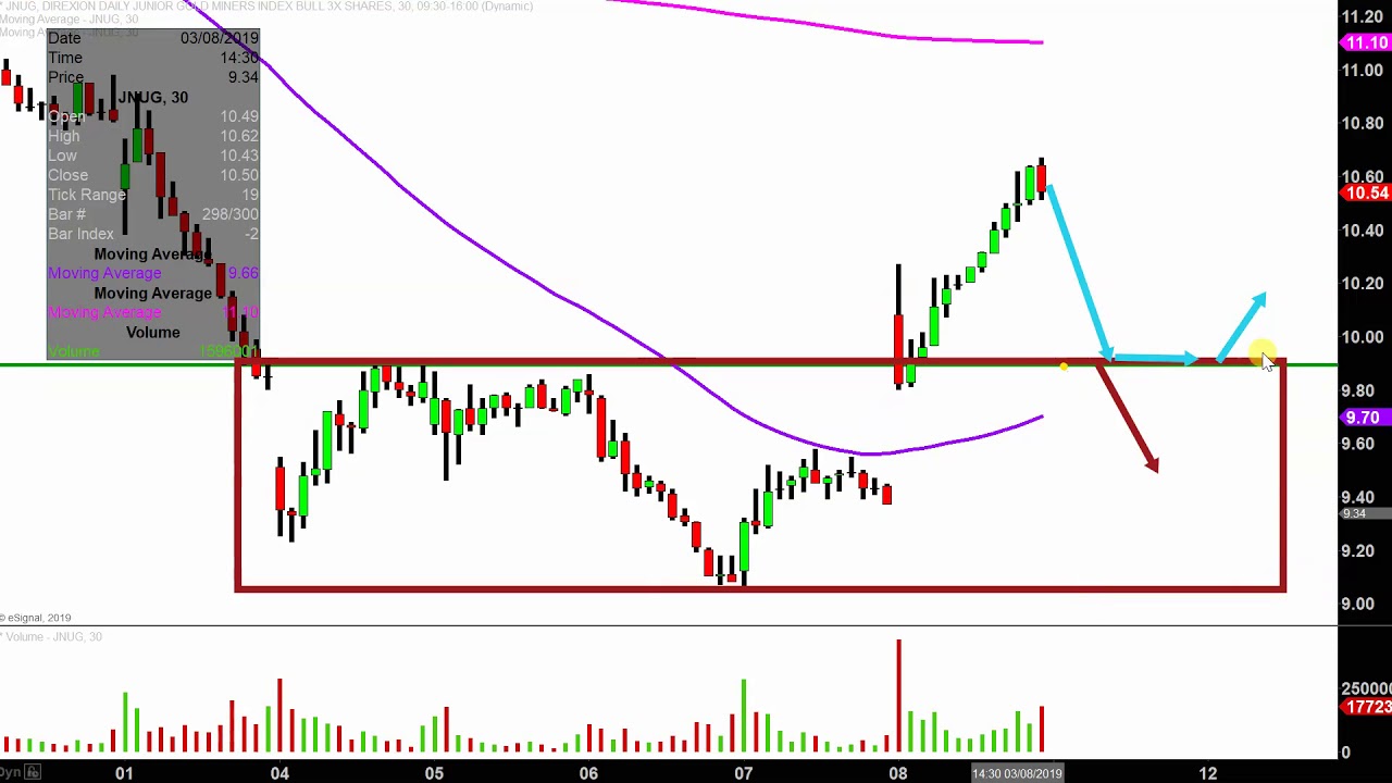 Jnug Stock Chart