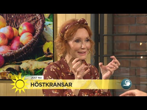 Så omfamnar du hösten och tar den med in i ditt hem: ”Man blir glad” - Nyhetsmorgon (TV4)