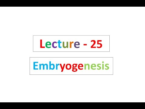 Lecture - 25 Biotechnology