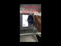 Oppo a9 water test   hhm tech world