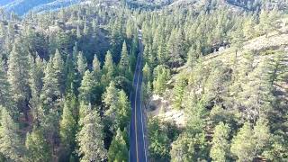 The Convergence of The Best Driving Roads in So Cal and Vast Forests with Pure Nature