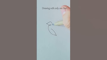 How to draw easy bird dove one line art quick draw simple drawing tutorial