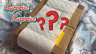 LPS package unboxing episode 15