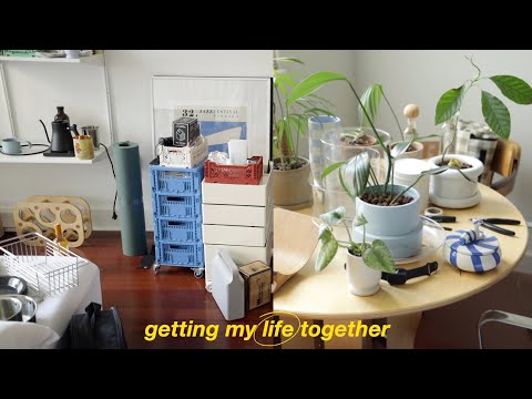 Getting My Life
