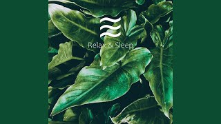 Shusher Soft Noise Looped screenshot 5