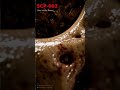 SCP-002 [The "Living" Room] #Shorts #SCP #SCP002 #SciFi #Horror — Part 1 EP1