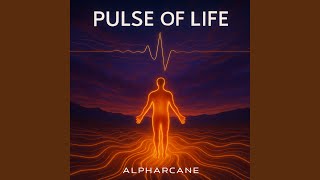 Download Lagu Tudert Tneggi MP3