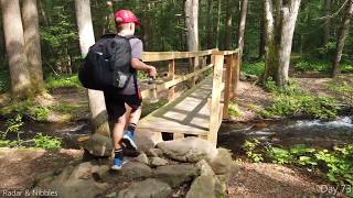 Appalachian trail 2019 day 73 (4k) rain caledonia state park