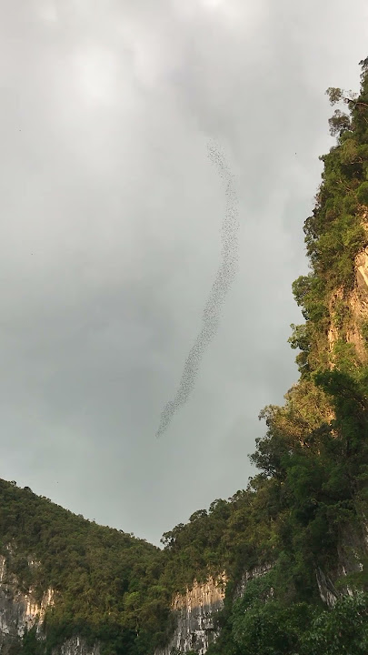 Mulu National Park