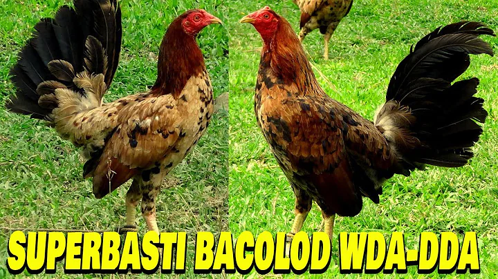 Dennis de Asis Beautiful Material Breeding Hennie ...
