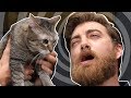 Rhett Gets Hypnotized To Love Cats