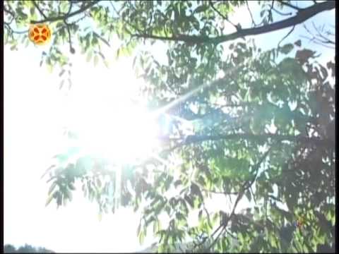 ათენგენობა