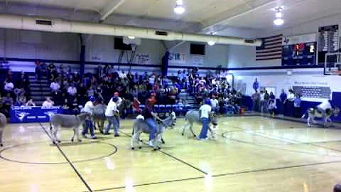Donkey Basketball - Snook, TX