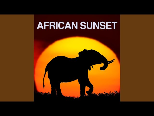African Sunset