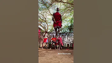 Best Maasai Jump Maasaijump Maasai 