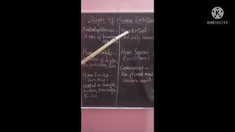 Human Evolution (part 1)