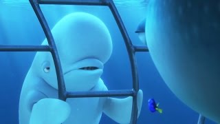 Finding Dory Bailey De Beluga Clip Nl Ondereld Disney Nl