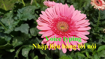Voice Typing - nhập liệu bằng lời nói trên GG Docs