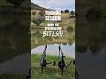 Specimen Carp Fishing South Africa #shorts #carpfishingsouthafrica #carpfishing #carp