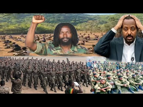 Oduu Ammee Bulchaan Godinaa Rasaasaan Dhahame Yaada Booji Amtoota PP