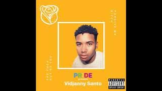 Danger Snow  ( Vidjanny Santo )