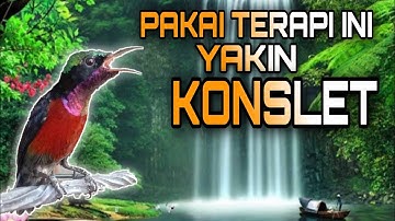 Pakai Terapi ini Untuk Konin Agar Cepat Bunyi Konslet