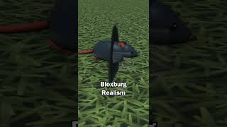 Ever Seen a Squished Mouse Before? #welcometobloxburg #bloxburg #roblox