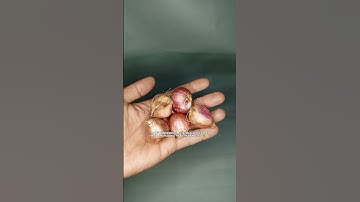 Benefits of red onions that are rarely known #shorts #benefitsofredonions #viral