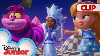 More Cheshire Cats! | Alice's Wonderland Bakery | @disneyjunior​ by Disney Junior 87,288 views 2 weeks ago 1 minute, 52 seconds