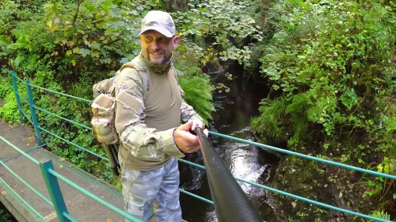 Lydford / West Devon / Lush Greenery of Lydford Gorge.