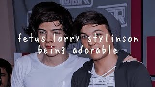 fetus larry stylinson being adorable for 20 minutes straight