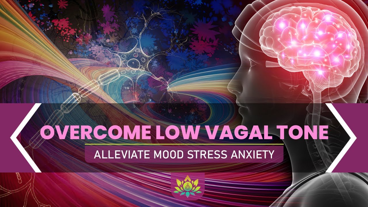 Activate The Vagus Nerve Overcome Low Vagal Tone Alleviate Mood Activate The Vagus Nerve Overcome Low Vagal Tone Alleviate Mood