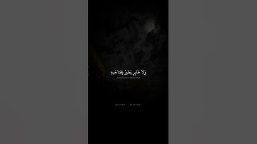 وَما مِن دابَّةٍ فِي الأَرضِ وَلا طائِرٍ | محمد صديق المنشاوي | سورة الأنعام