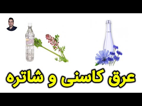 عرق کاسنی و شاتره خواص آن و نحوه مصرف