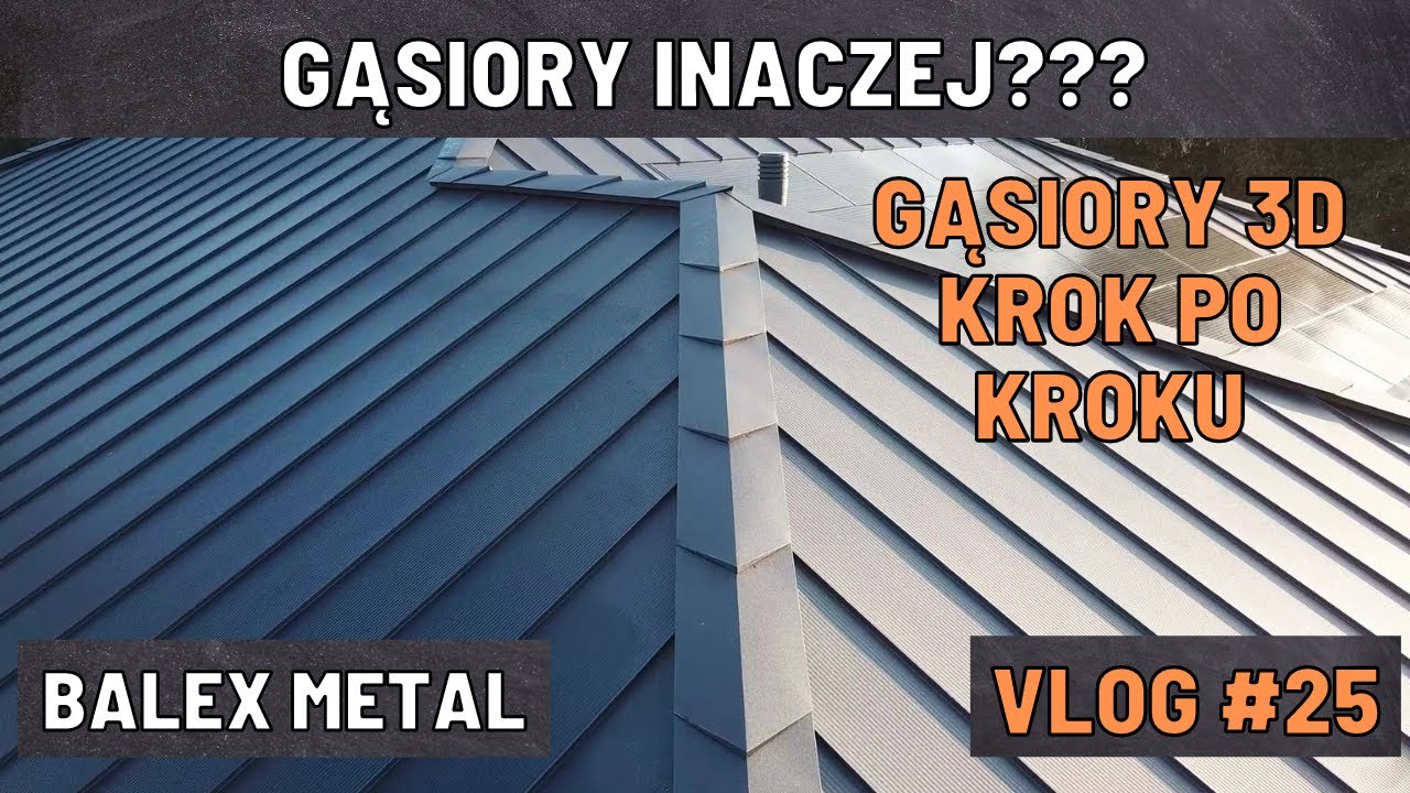 Gąsiory 3D | Krok po kroku