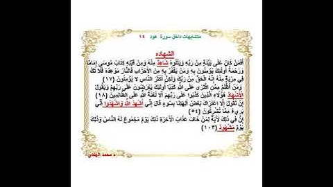 متشابهات داخل سورة هود   د محمد الهندي