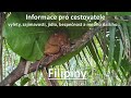 Filipny  informace pro cestovatele czsk