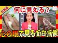 【🔥爆笑:GW総集編②】何に見えるかはあなたの心次第!面白画像集