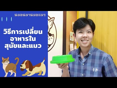 วีดีโอ: วิธีเปลี่ยนอาหารสุนัข