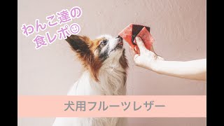 犬の食レポ：いちごとブルーベリーのフルーツレザー（手作り犬おやつ）