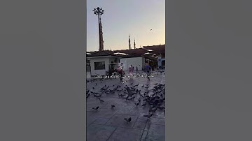 الرسول الكريم#صلوا عليه#المسجد النبوي#tilawatvoiceintheworld#سورة آل عمران#الشيخ ماهر المعيقلي#قران