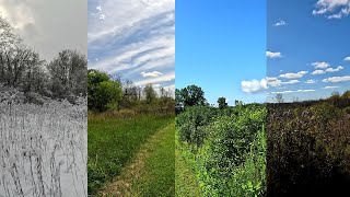 One Year in One Minute - Ithaca NY Weather